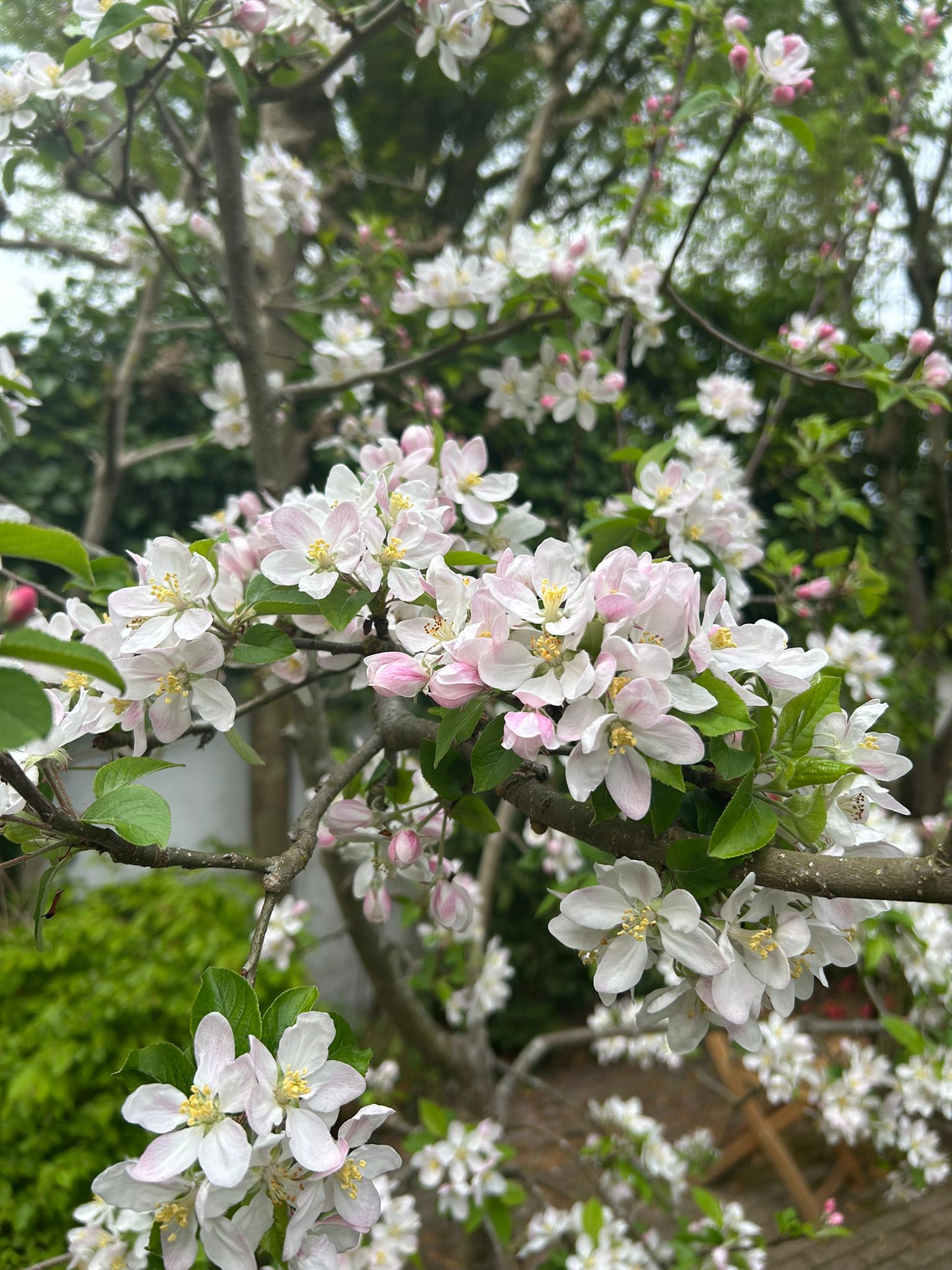 Photo 18 of 't Paadje 3