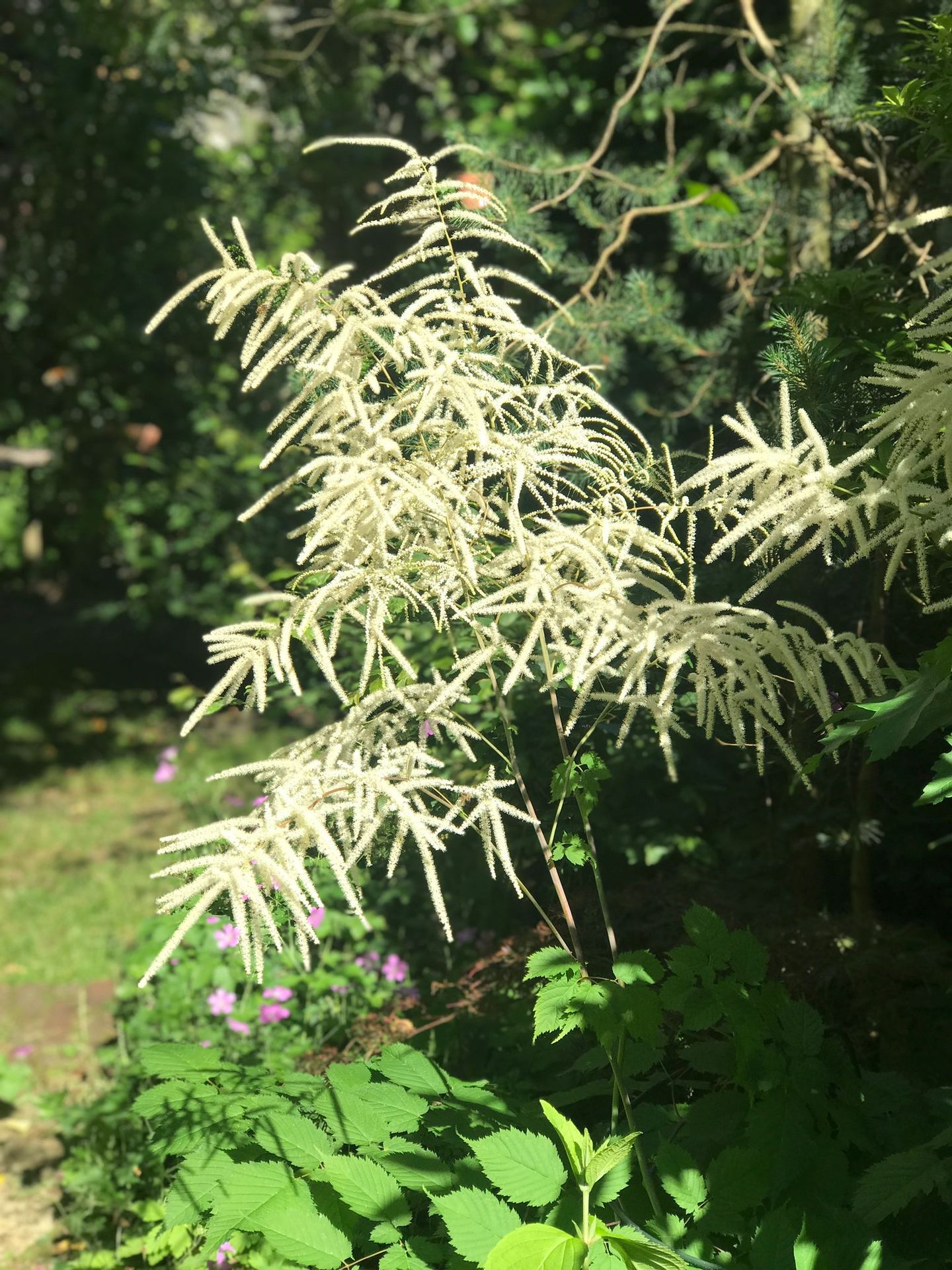 Photo 35 of 't Paadje 3