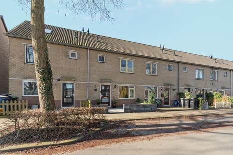 Daniël Stalpaertstraat thumbnail