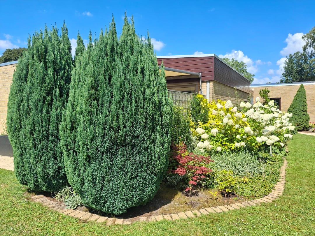 Foto 67 van Weezenhof 2708