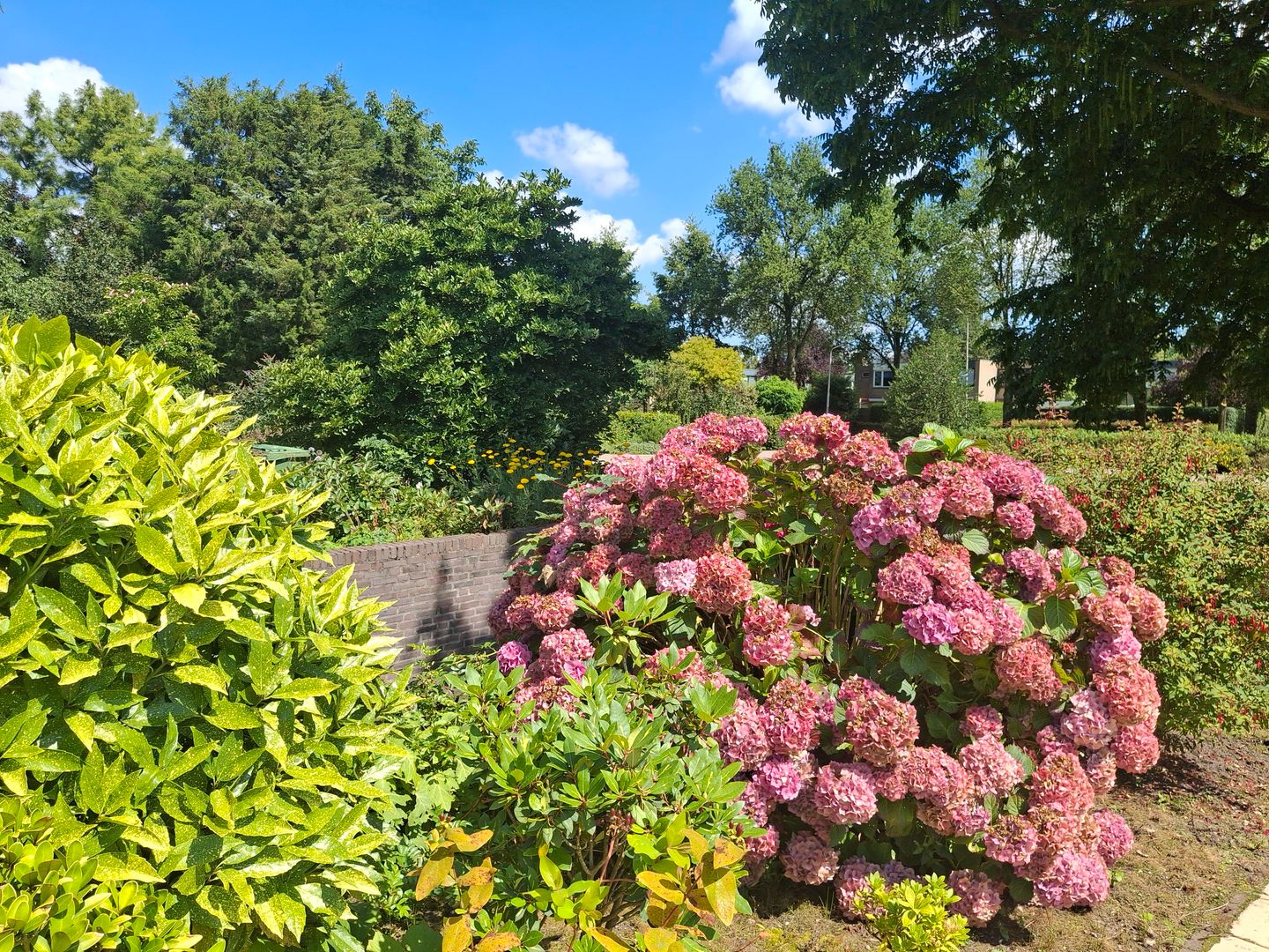 Foto 70 van Weezenhof 2708