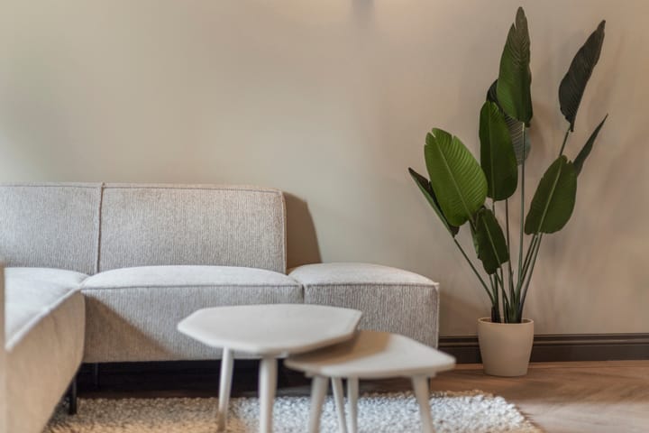 Photo 3 of Minderbroedersstraat 9-E