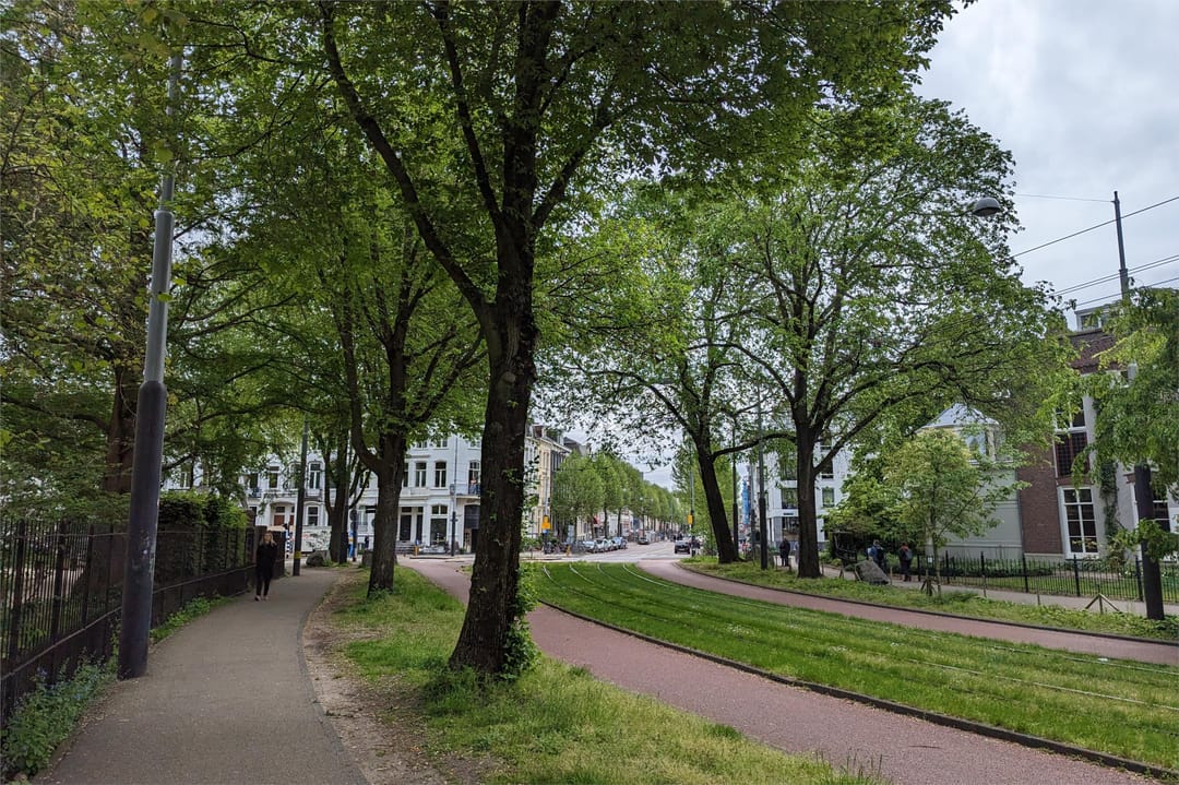 Foto 53 van Plantage Parklaan 18