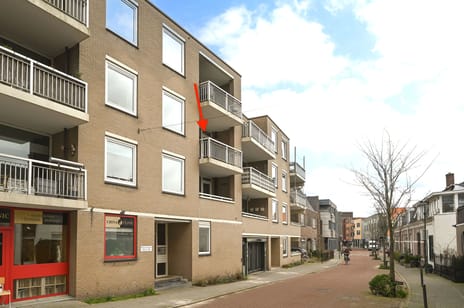 undefined main image