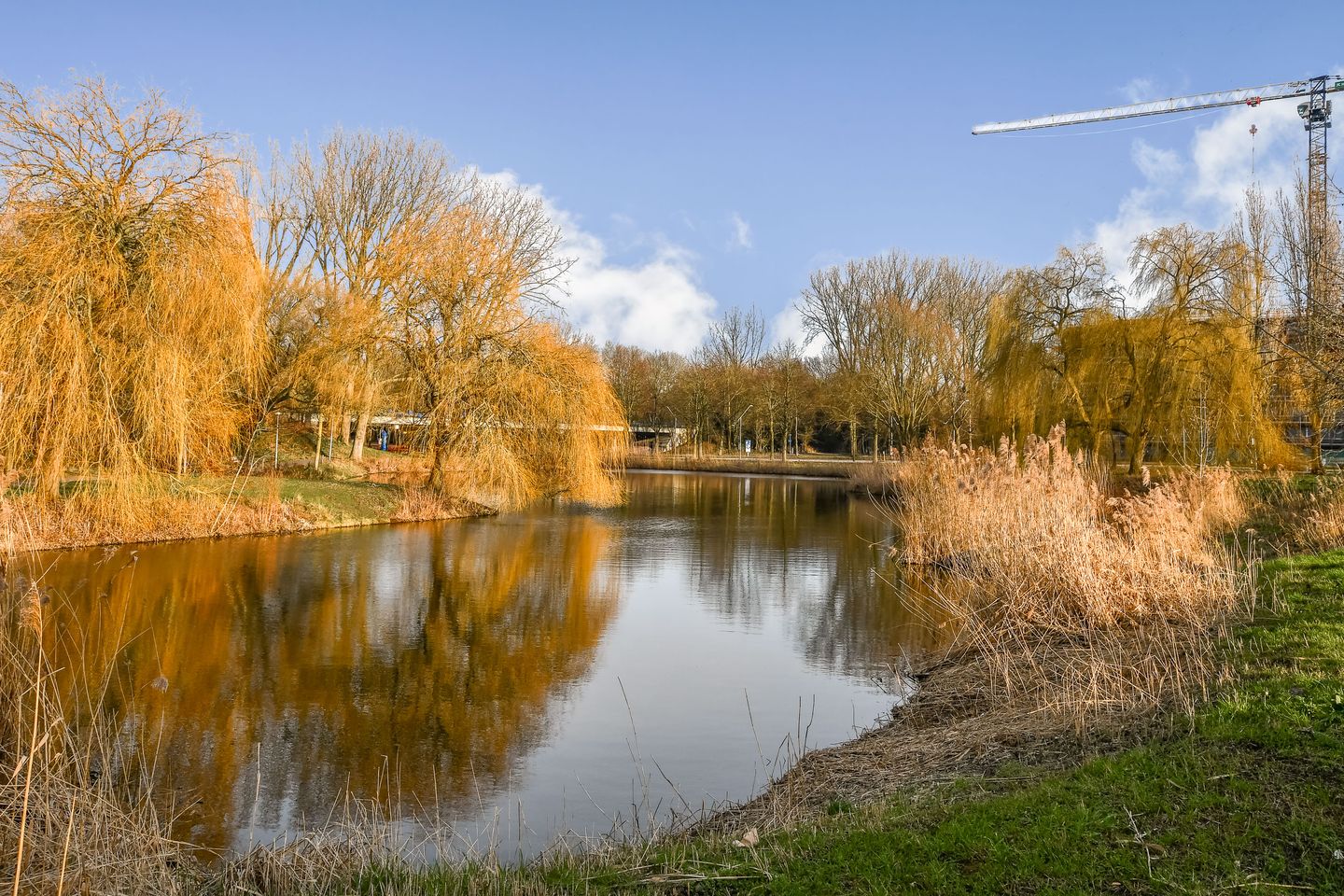 Photo 35 of Celsiusstraat 45