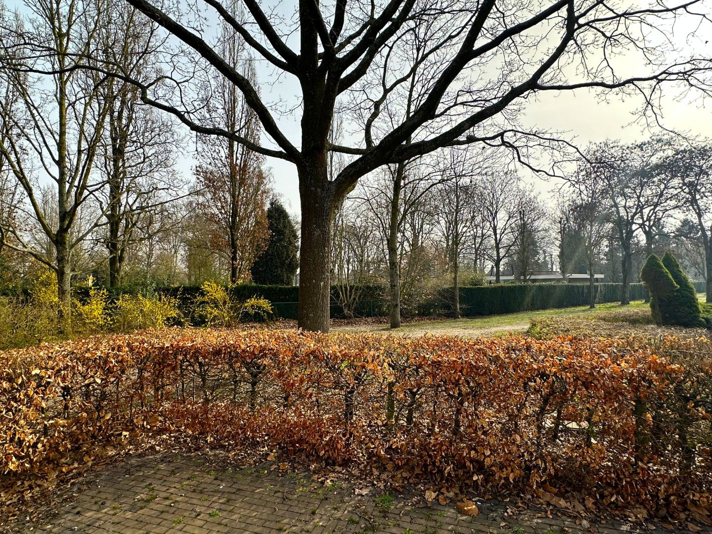 Photo 27 of Clivialaan 25