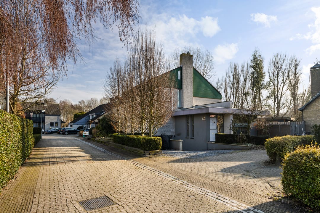 Foto 71 van Vlasweel 72