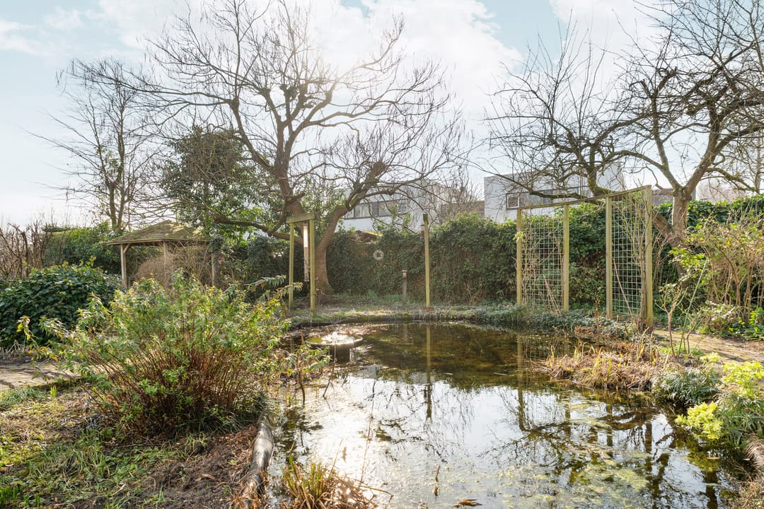 Foto 53 van Honingbijstraat 2