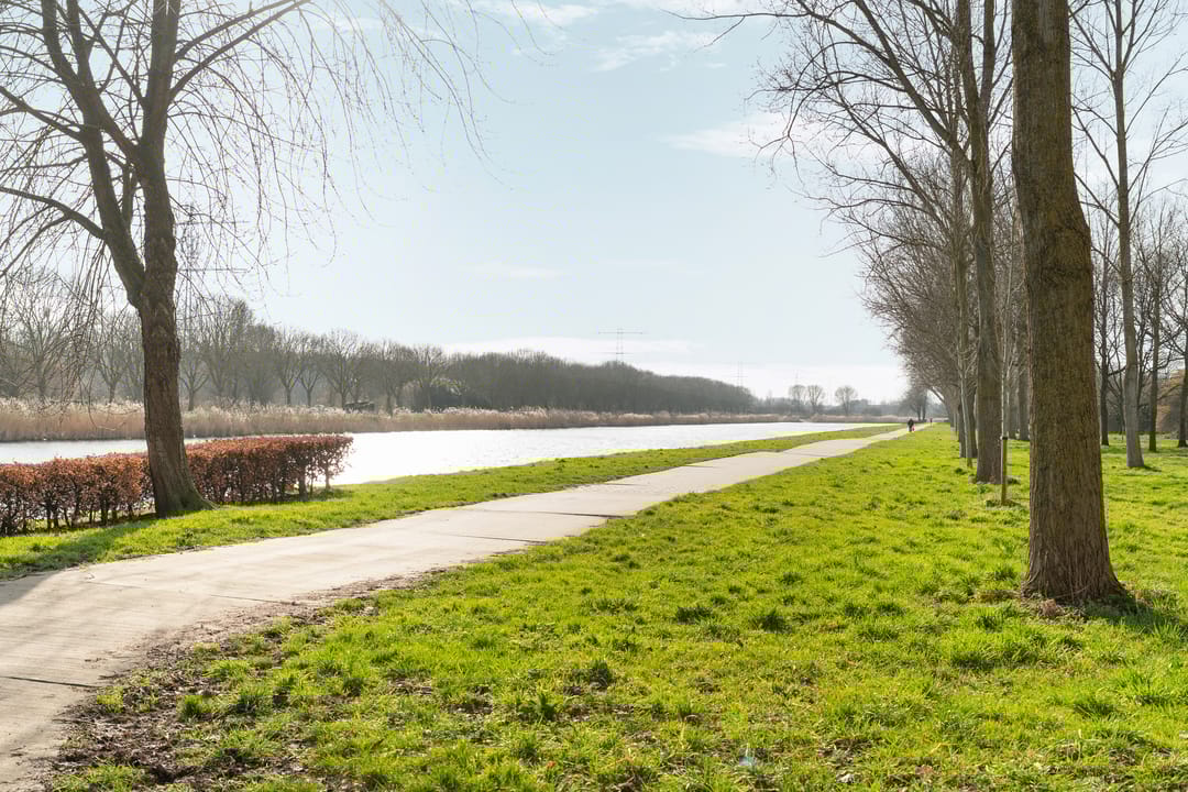 Foto 56 van Honingbijstraat 2