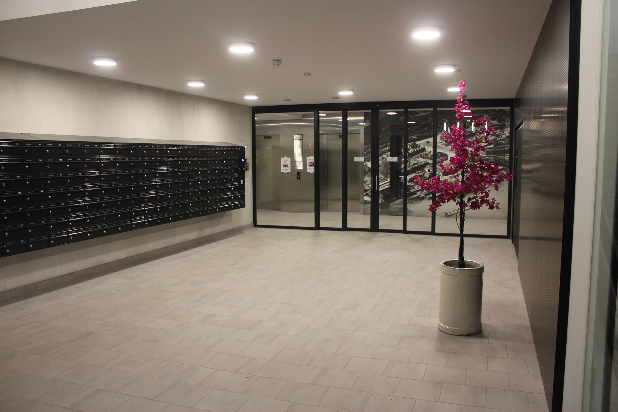 Foto 15 van Piekstraat 181