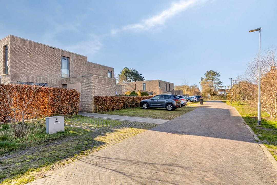 Foto 31 van Domineesbosje 7