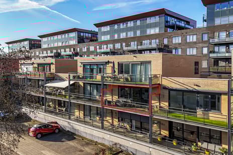 Pollenstein thumbnail