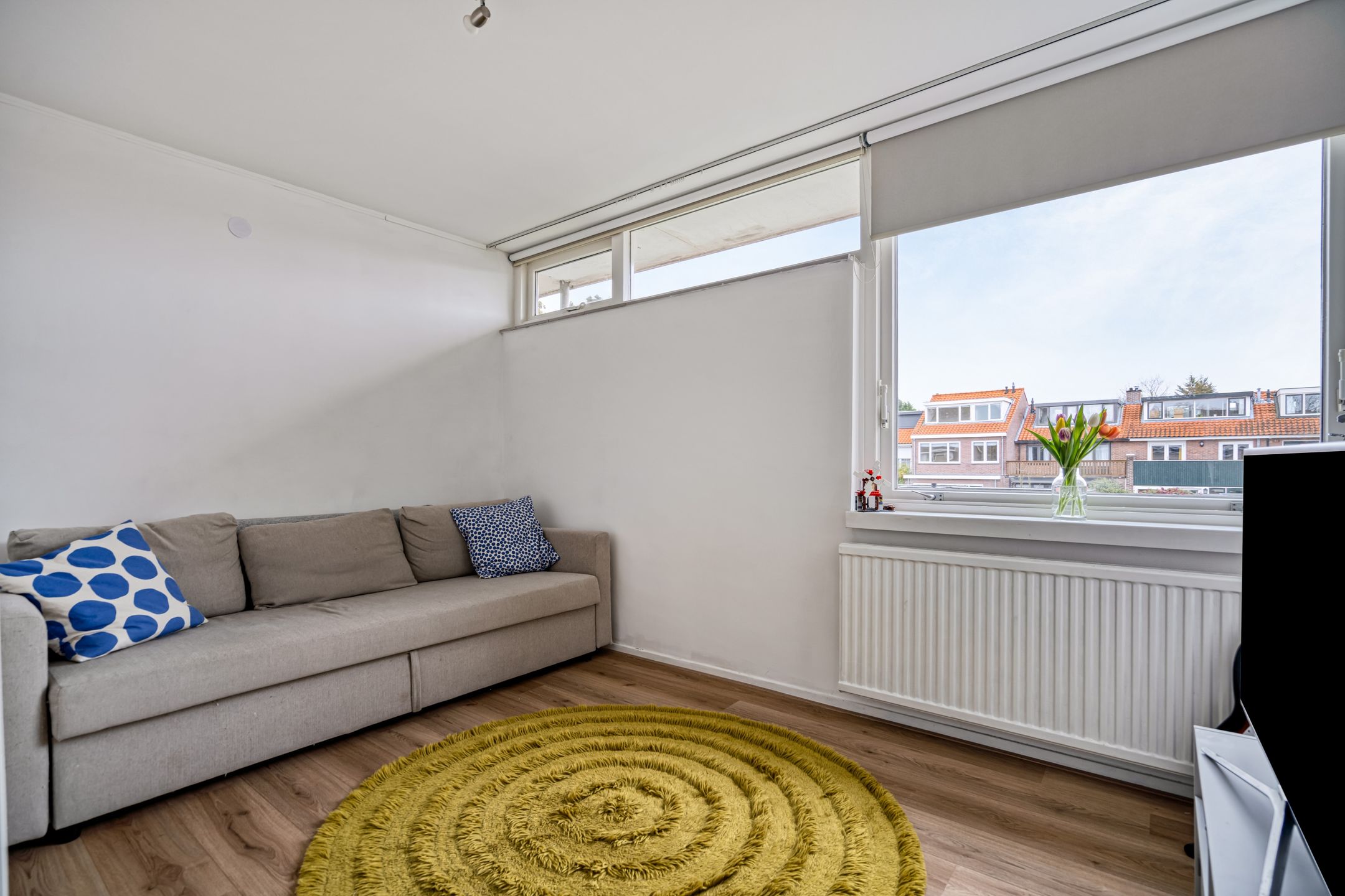 Foto 48 van Fabritiuslaan 50