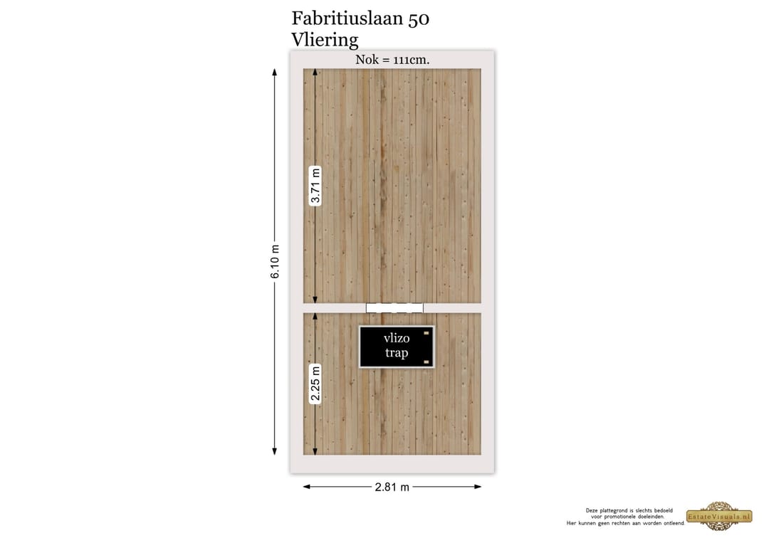Foto 73 van Fabritiuslaan 50