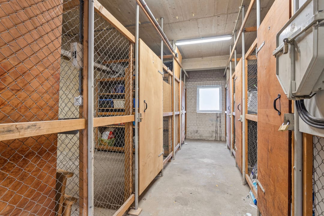 Sunny Central 3-Room Apartment with Energy Label A — 30