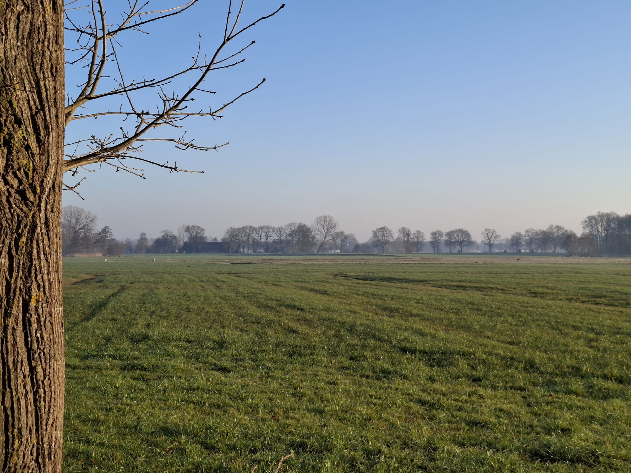 Photo 51 of Lankhorsterweg 20