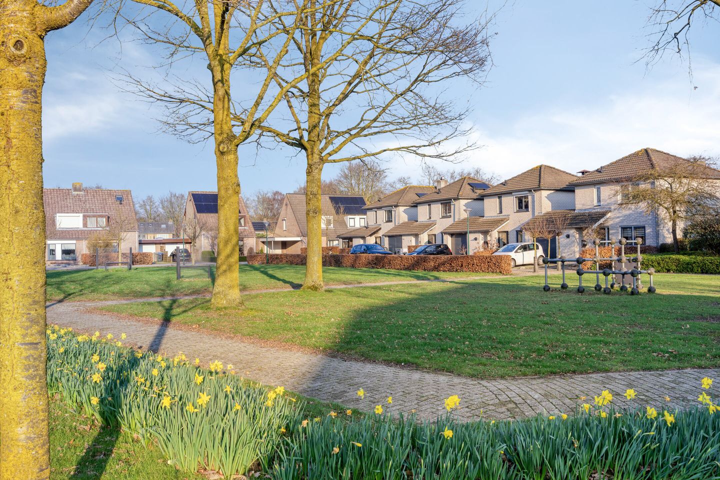 Foto 34 van Roerdomphorst 29