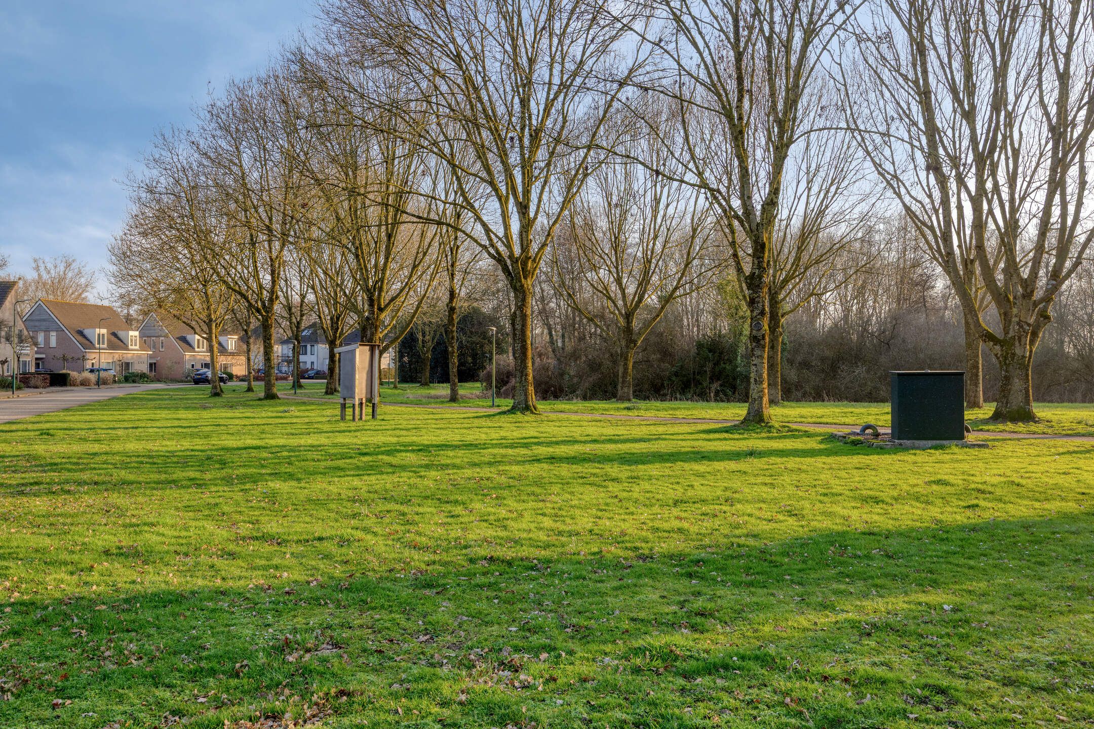 Foto 36 van Roerdomphorst 29