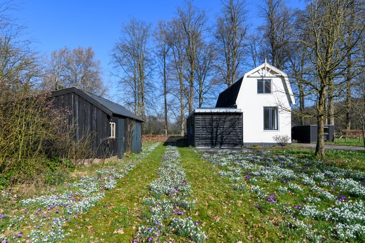 Foto 3 van Spanderswoud 9