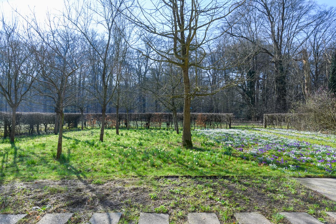 Foto 32 van Spanderswoud 9