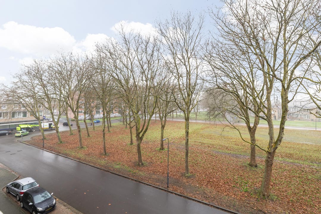 Photo 46 of Rijnauwenstraat 65