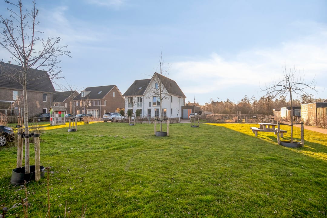 Foto 38 van Het Penseel 50