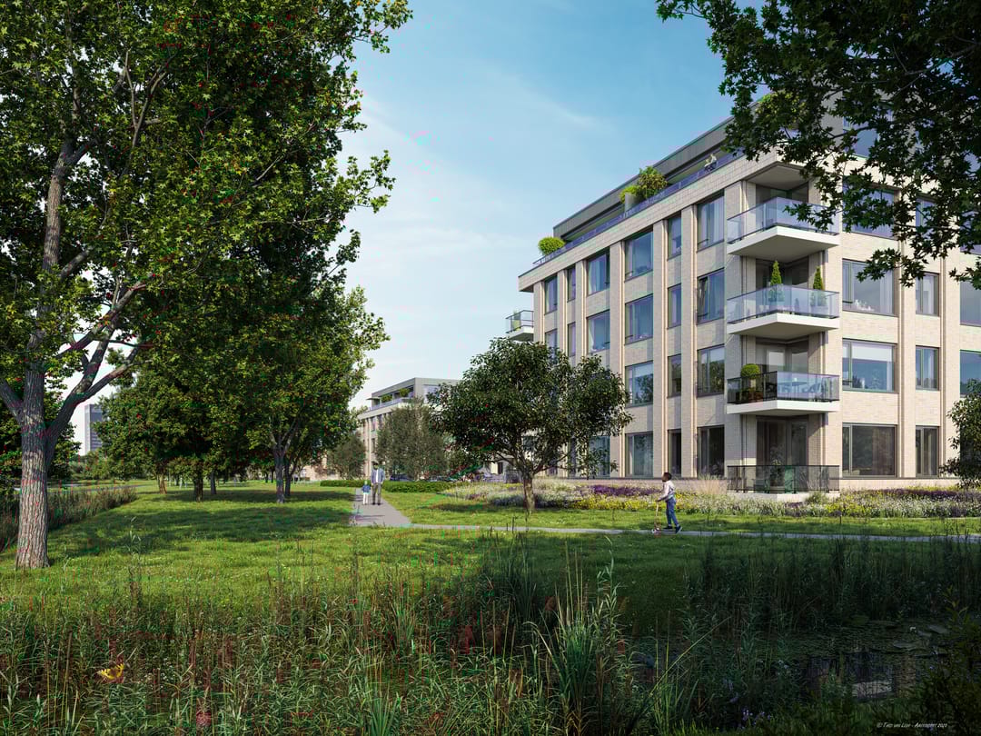 Foto 7 van Dorhoutstraat 37