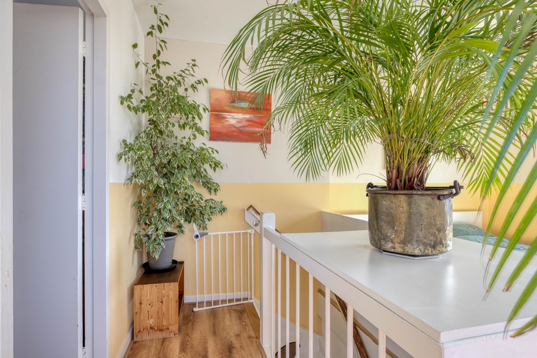 Foto 26 van Lange Smeestraat 10-B