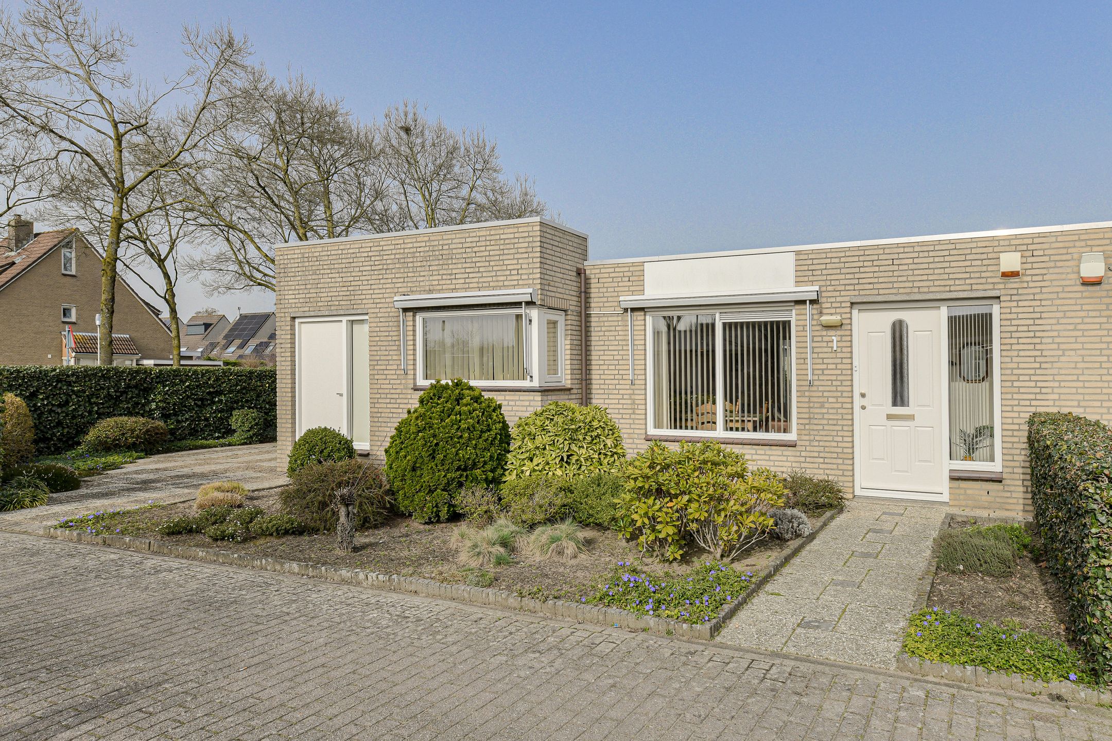 Foto 3 van Distelvink 1