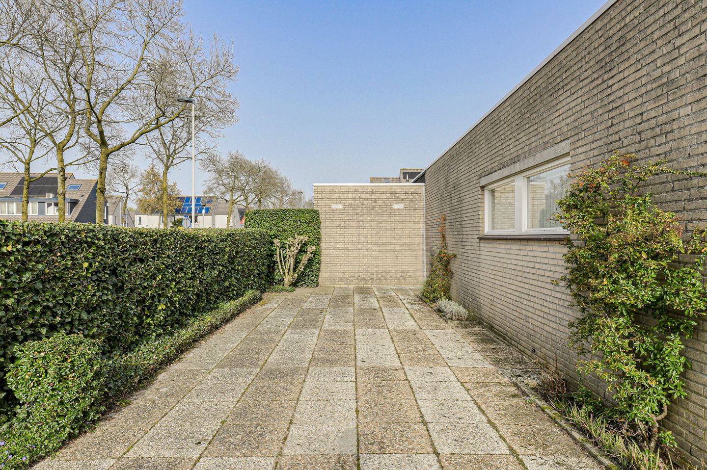 Foto 5 van Distelvink 1