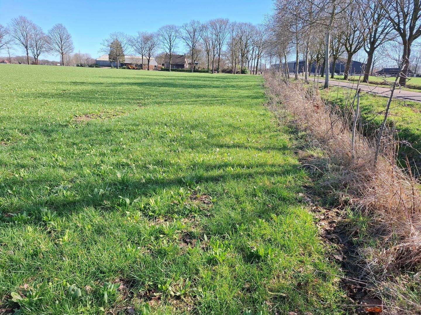 Bekijk foto 2 van Hoge Raam