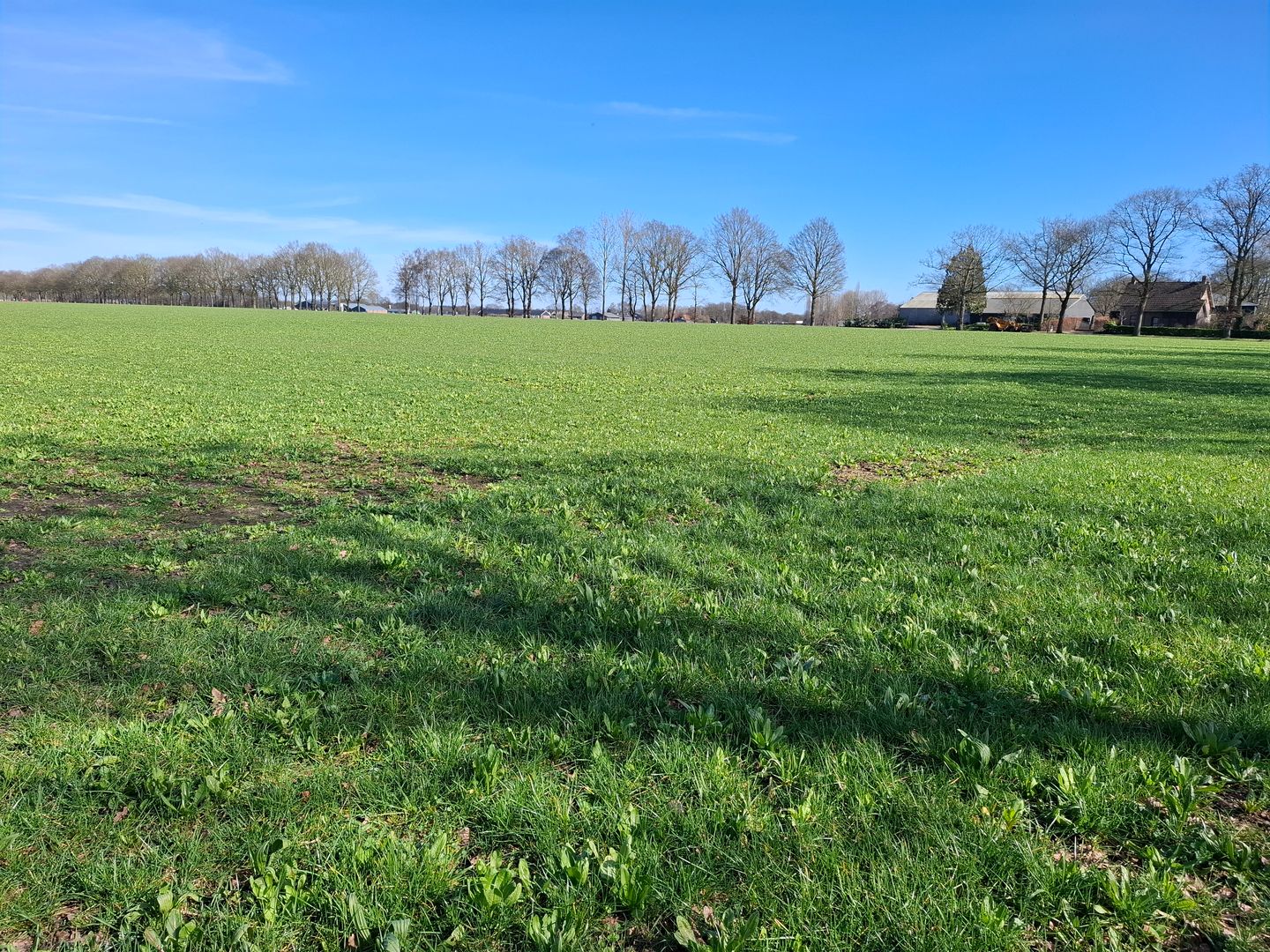 Bekijk foto 3 van Hoge Raam