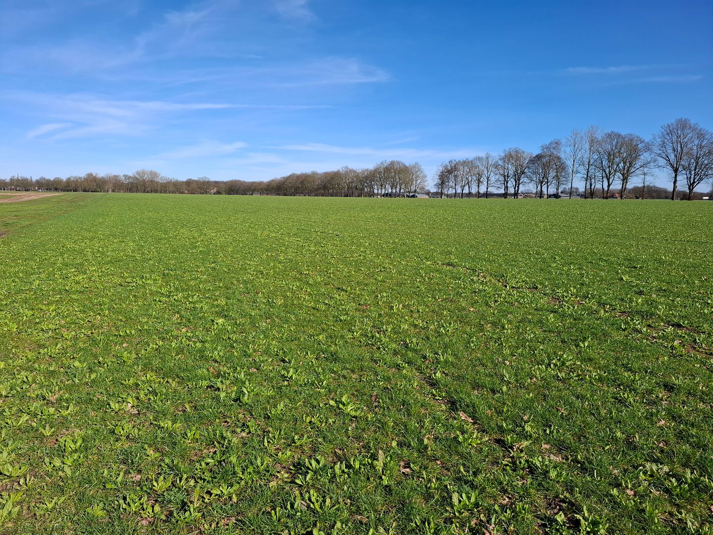 Bekijk foto 4 van Hoge Raam