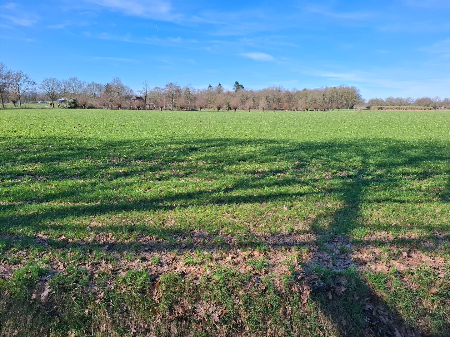 Bekijk foto 5 van Hoge Raam