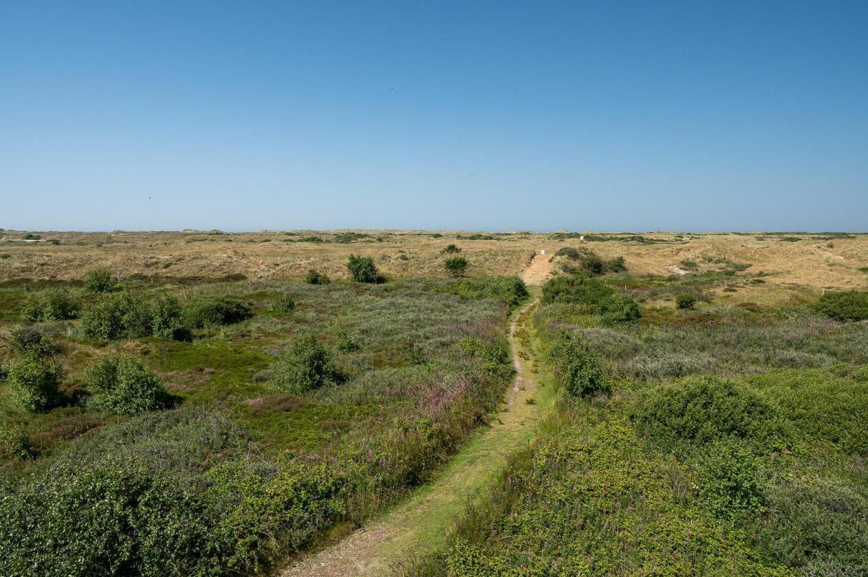 Foto 12 van Kemphaansduin 206