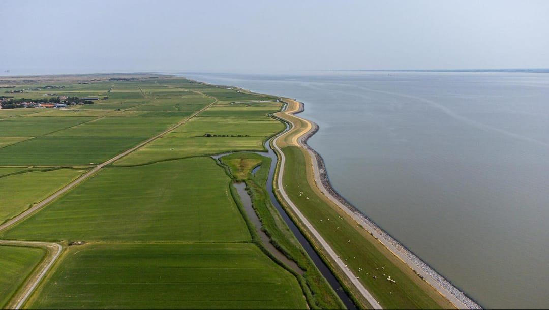 Foto 17 van Kemphaansduin 206