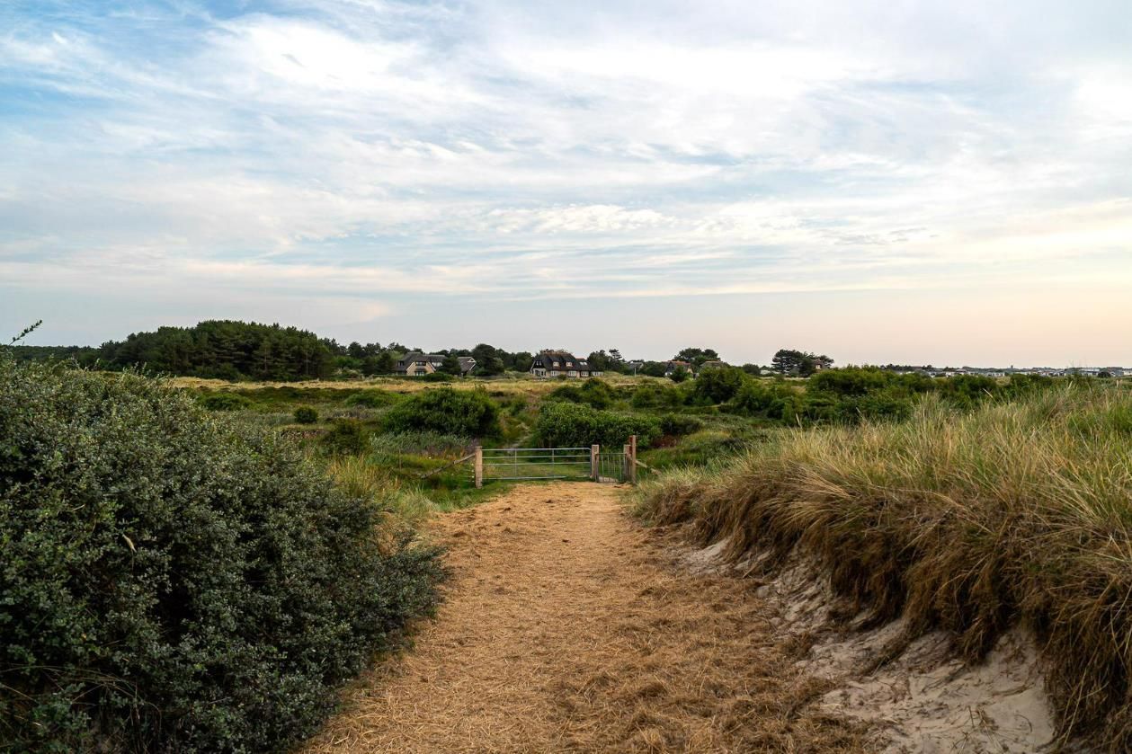 Foto 40 van Kemphaansduin 206