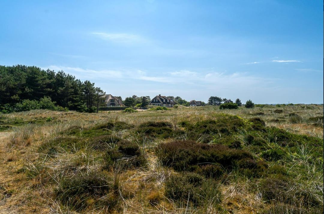 Foto 41 van Kemphaansduin 206