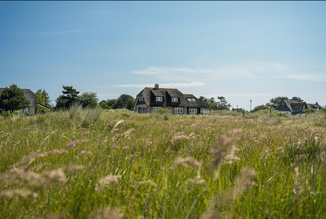 Foto 11 van Kemphaansduin 206