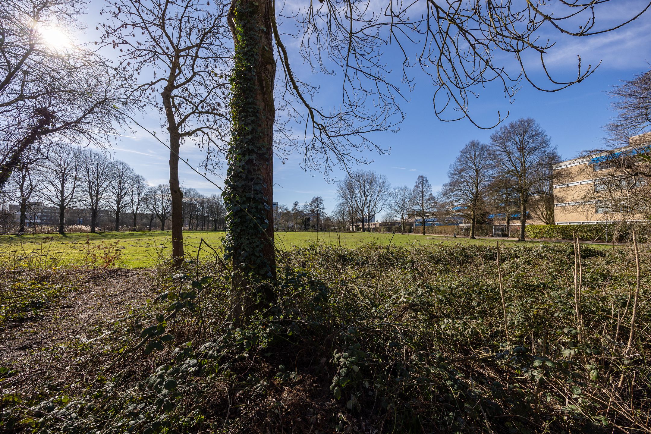 Foto 15 van Holkerweg 36