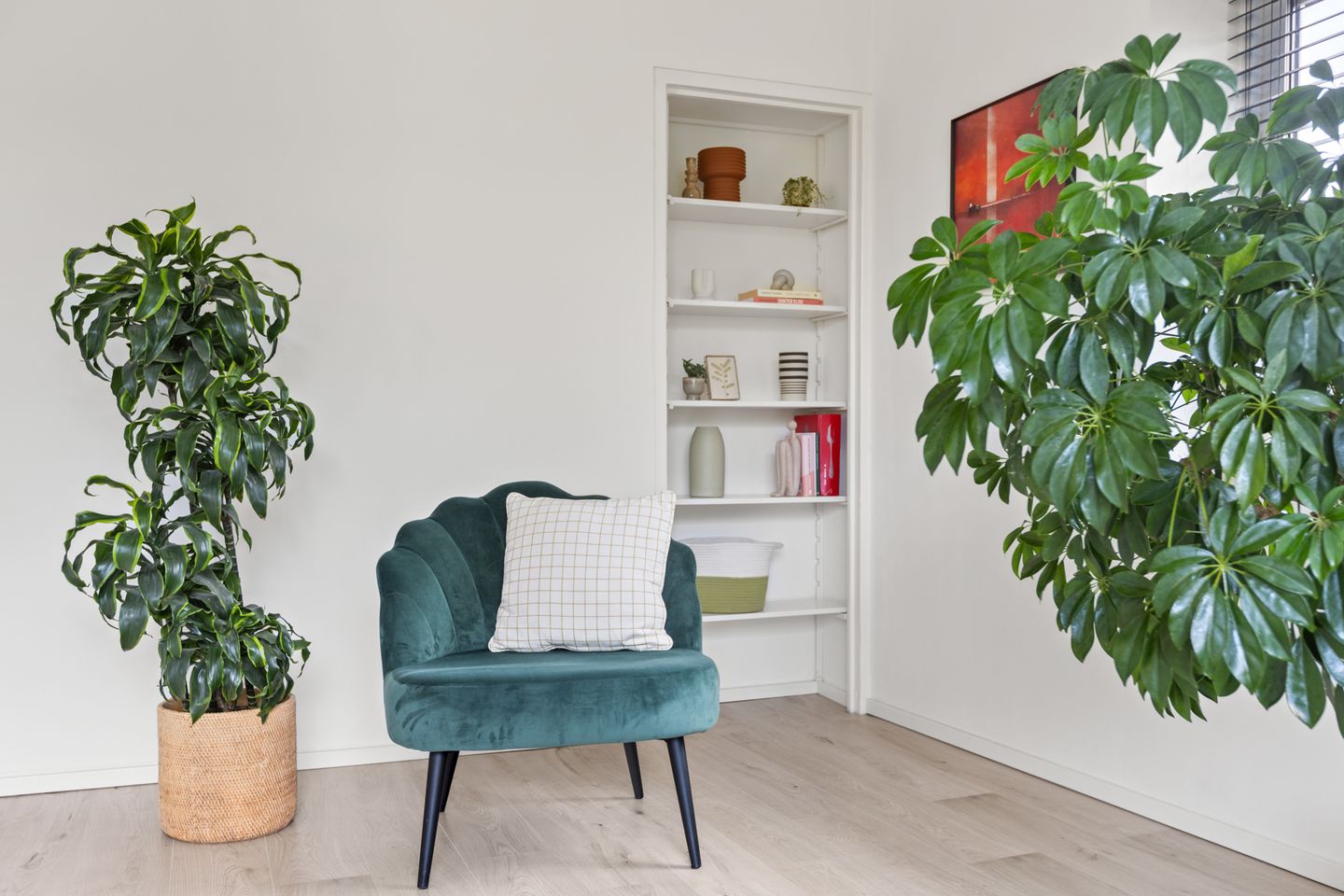 Foto 10 van Royaards van den Hamkade 3-1