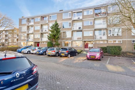 Burgemeester Crezéestraat thumbnail