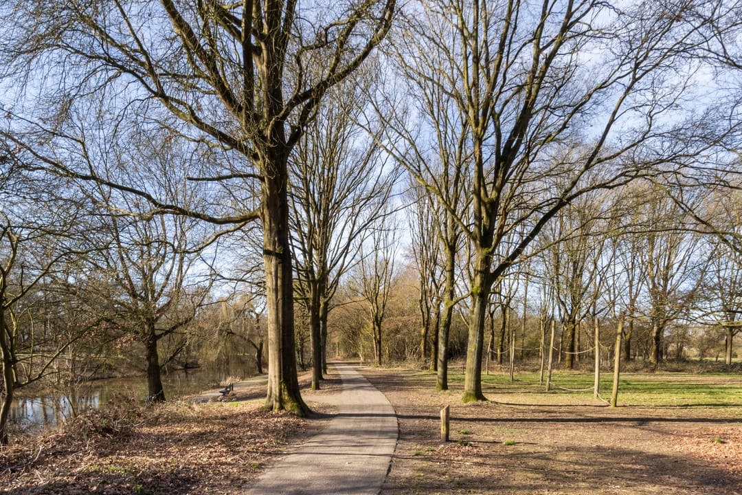 Foto 28 van Korianderstraat 4