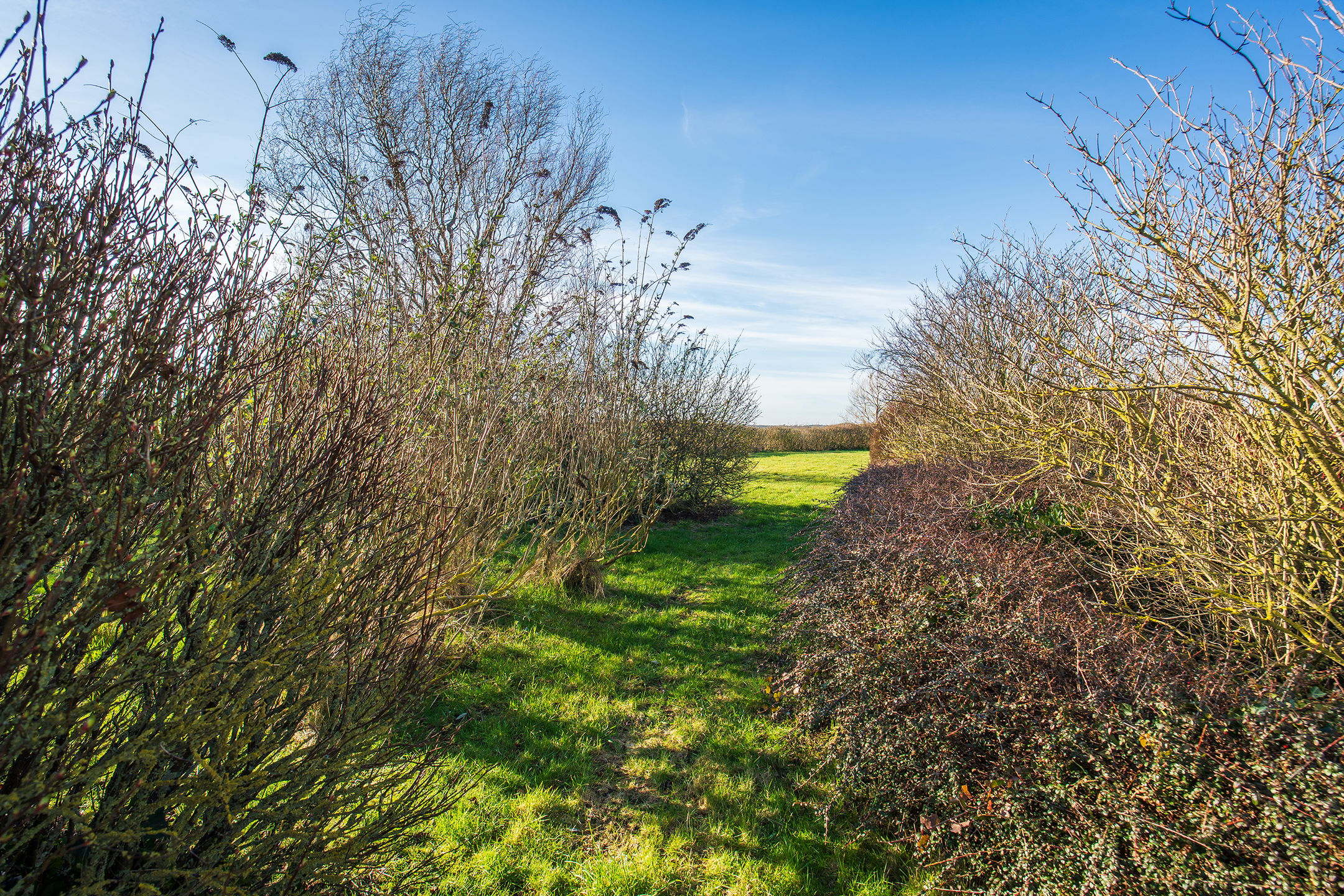 Photo 45 of Waalderweg 119