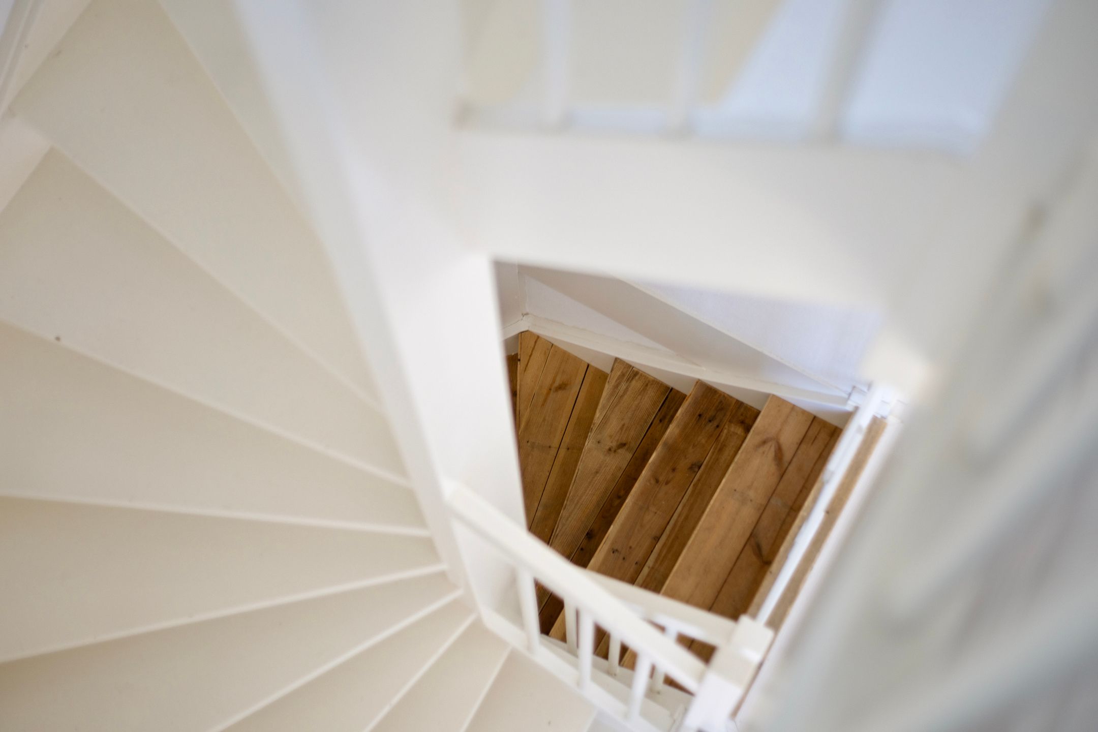 Photo 30 of Sint Pieterspark 96