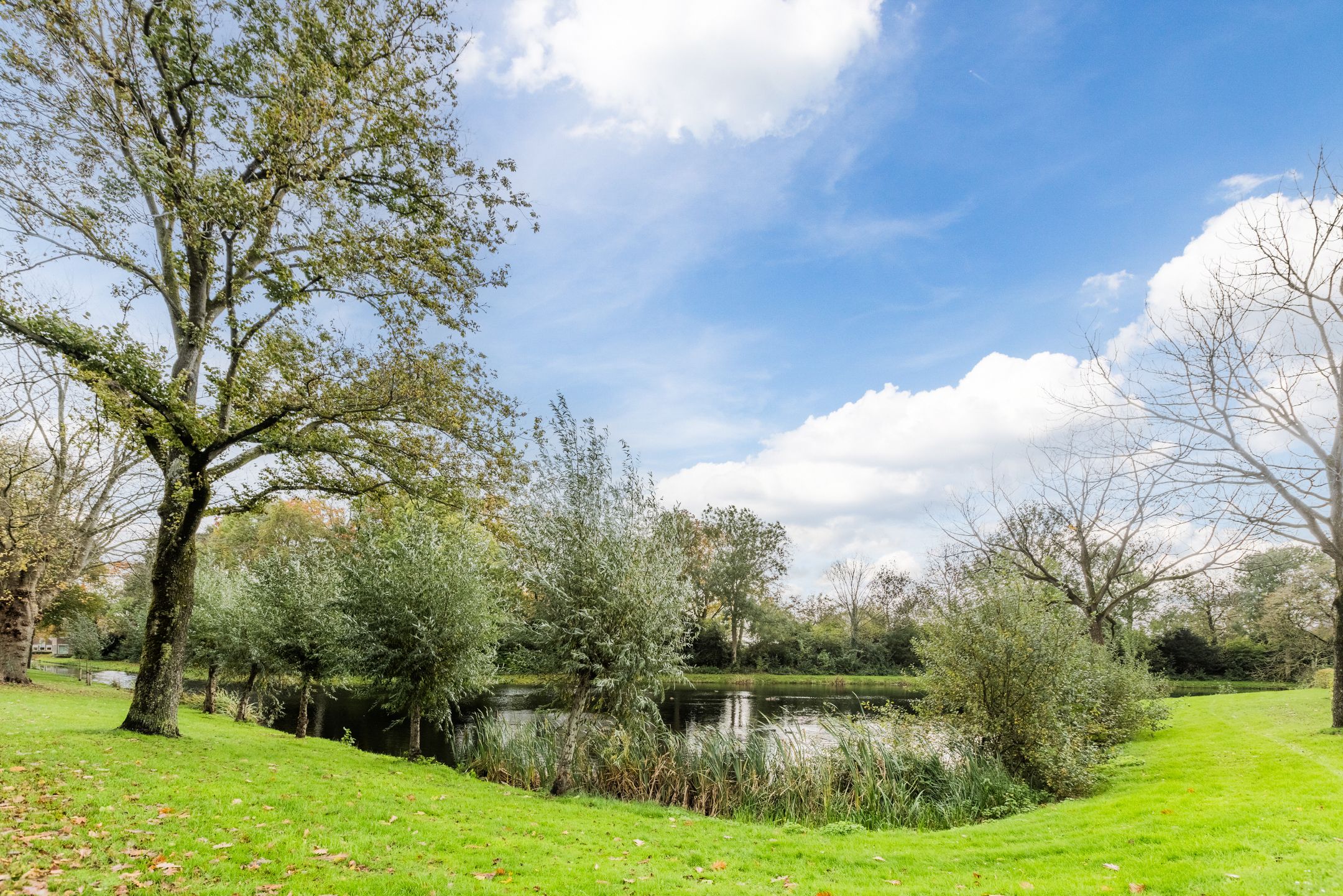 Foto 36 van Dopperstraat 50