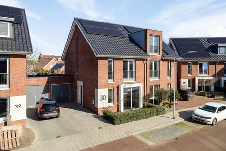 Blauwborst thumbnail