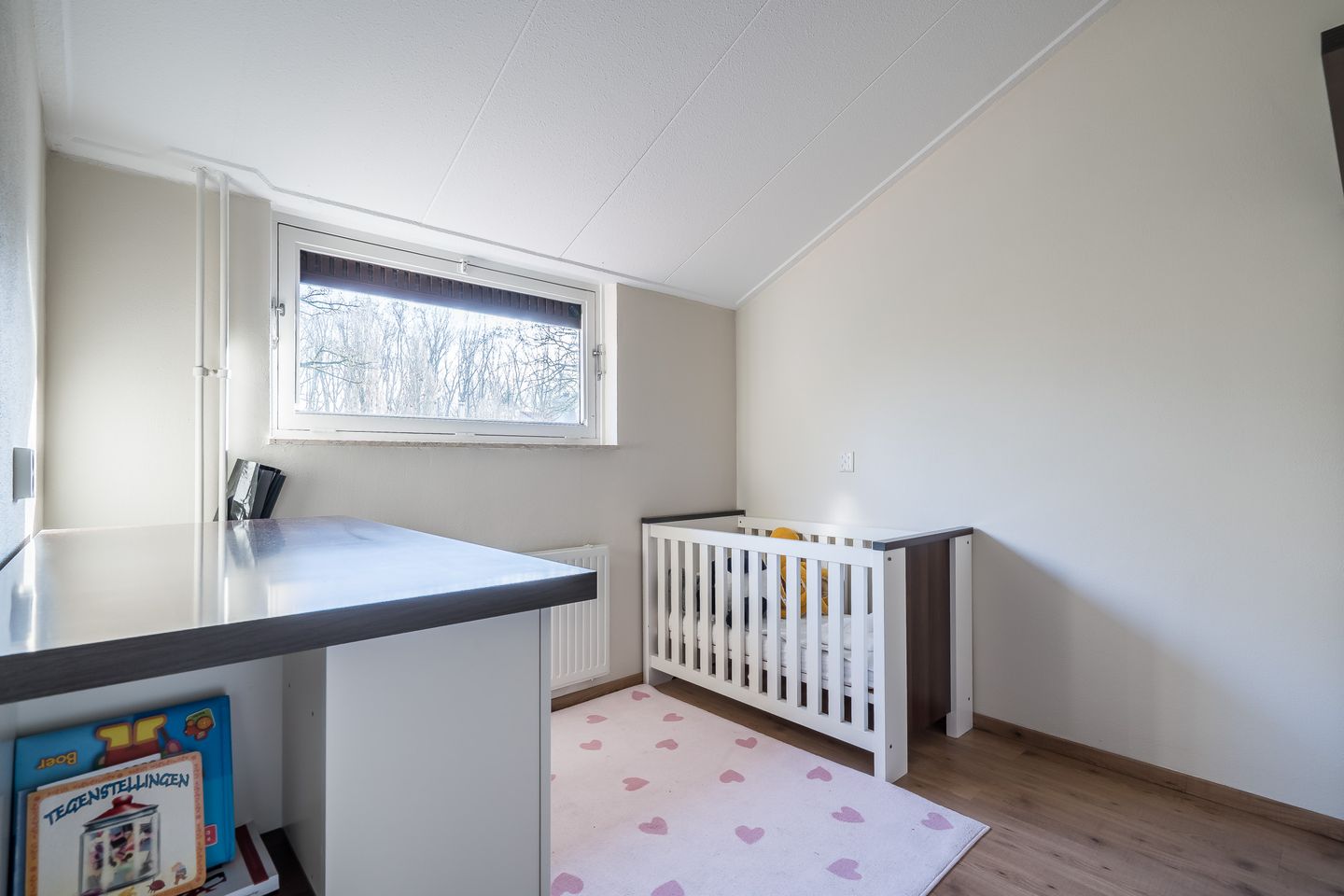 Foto 20 van Theunishof 14