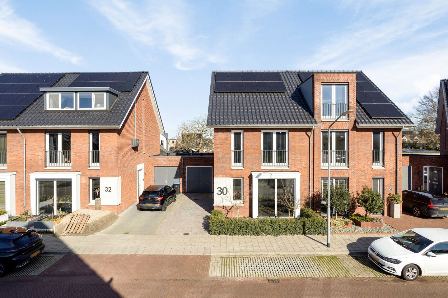 Foto 50 van Blauwborst 30