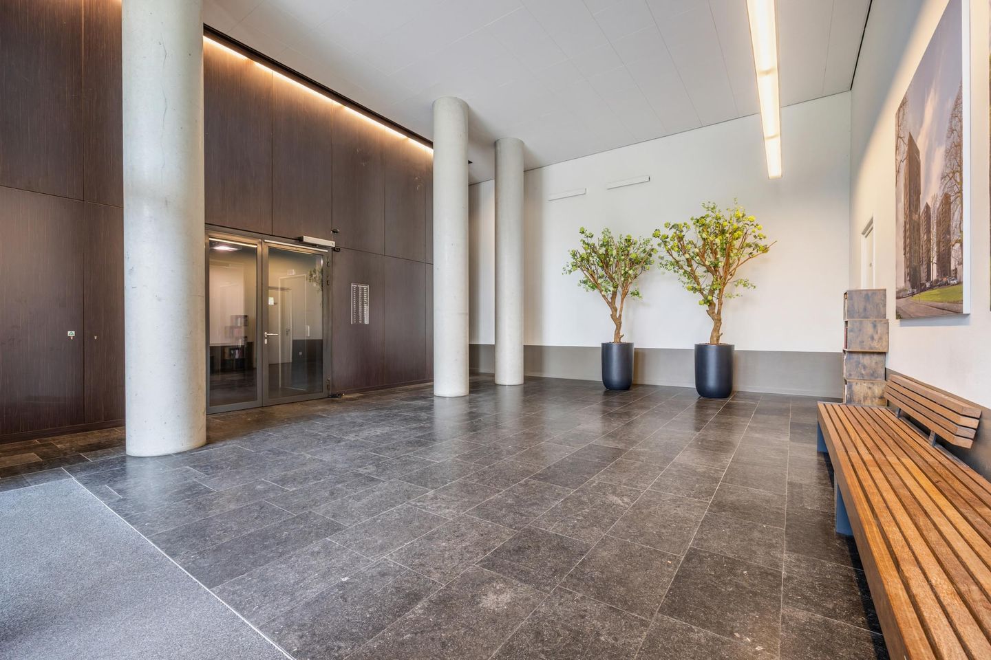 Foto 10 van Dirk Hartogstraat 295